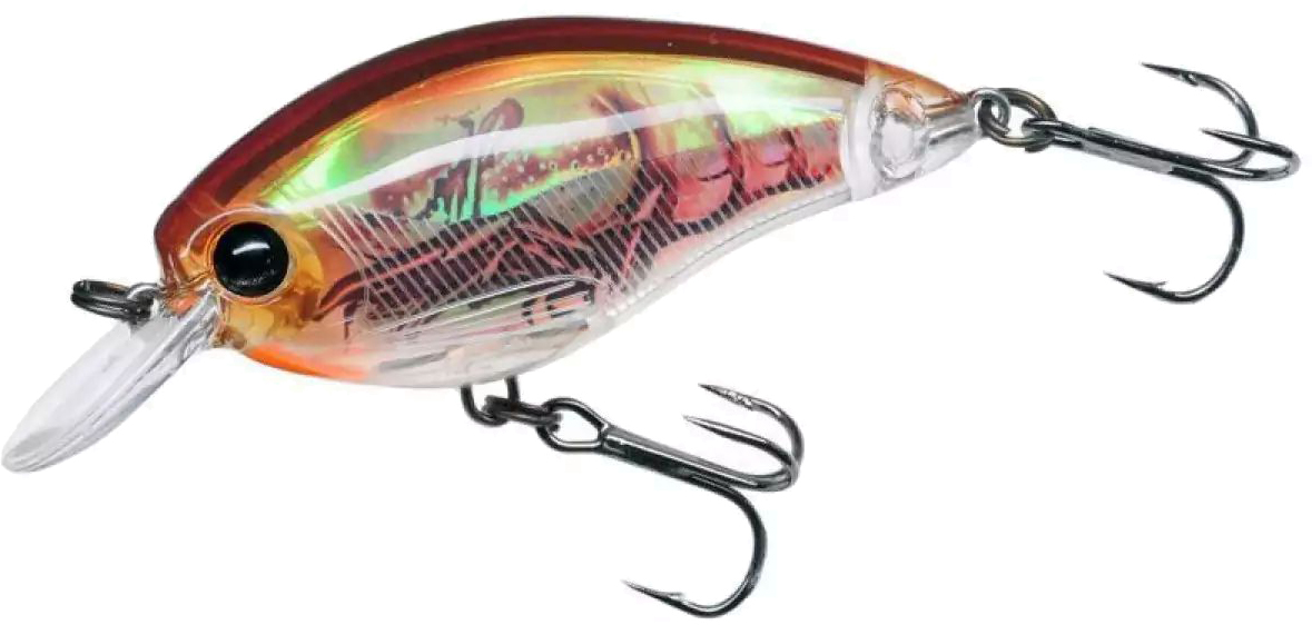 

Воблер Yo-Zuri 3DR Shallow Crank (F) 50 мм 8.0 г RBCF (R1315-RBCF)