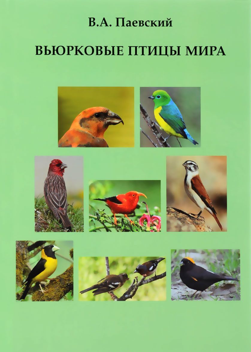 

Вьюрковые птицы мира