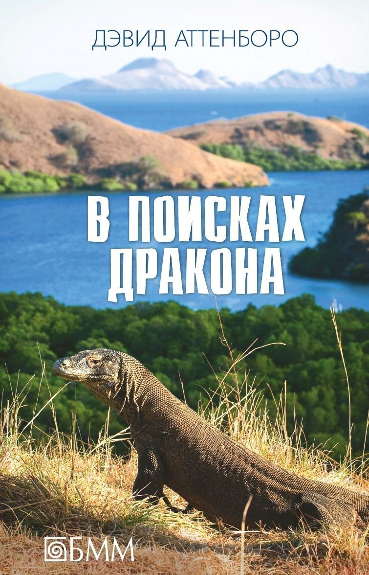 

В поисках дракона (932949)