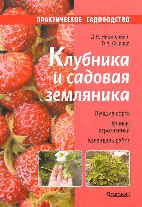 

Клубника и садовая земляника