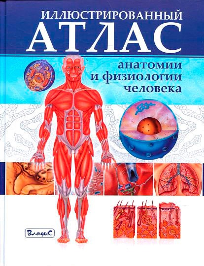 

Иллюстрированный атлас анатомии и физиологии человека