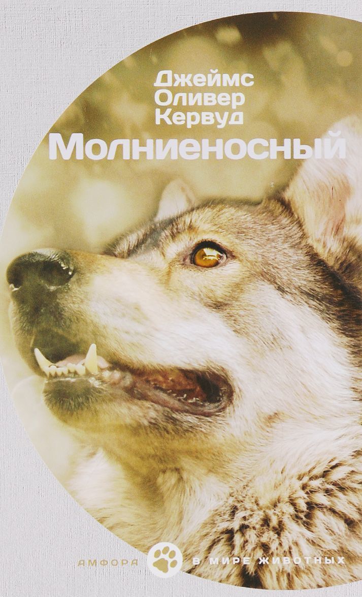 

Молниеносный (1321572)