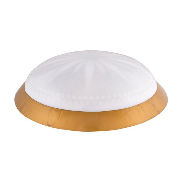 

Светильник потолочный ERKA 1149 LED-GB 24W 4200 К матовый/золото