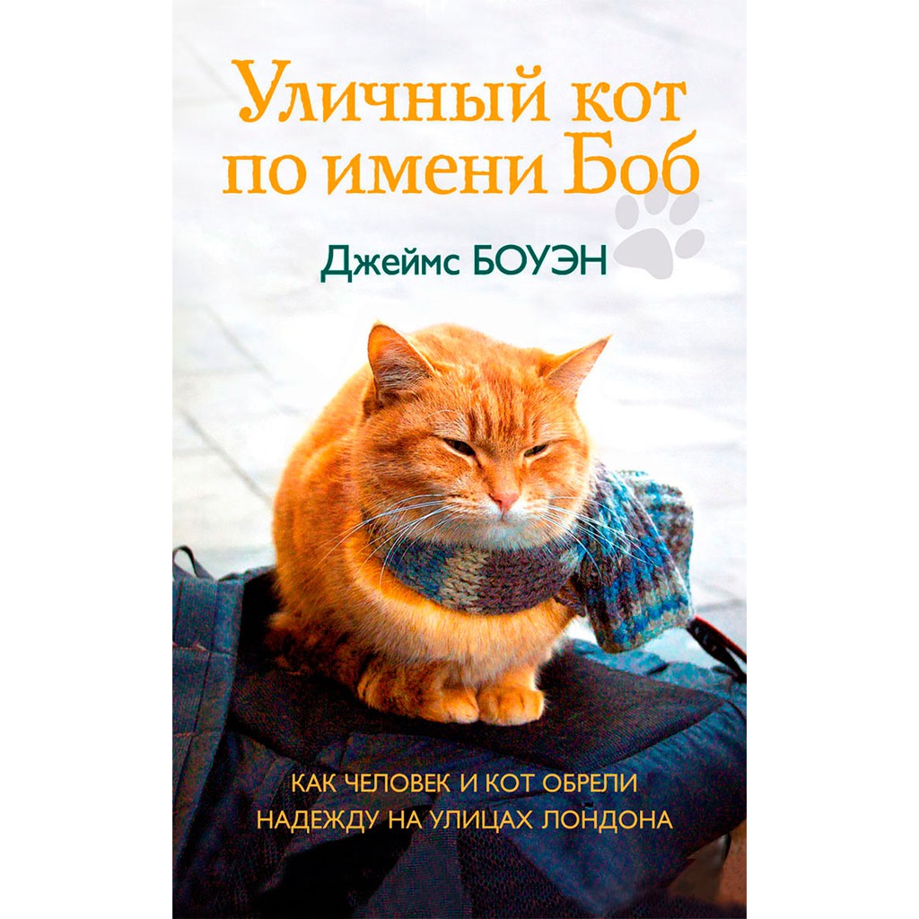 

Уличный кот по имени Боб. Как человек и кот обрели надежду на улицах Лондона