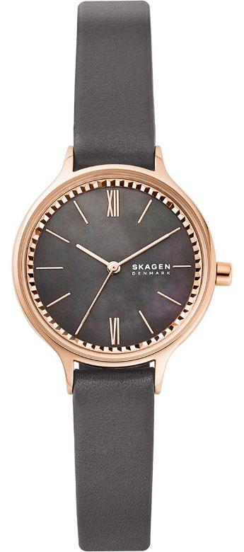 

Женские наручные часы SKAGEN SKW2909