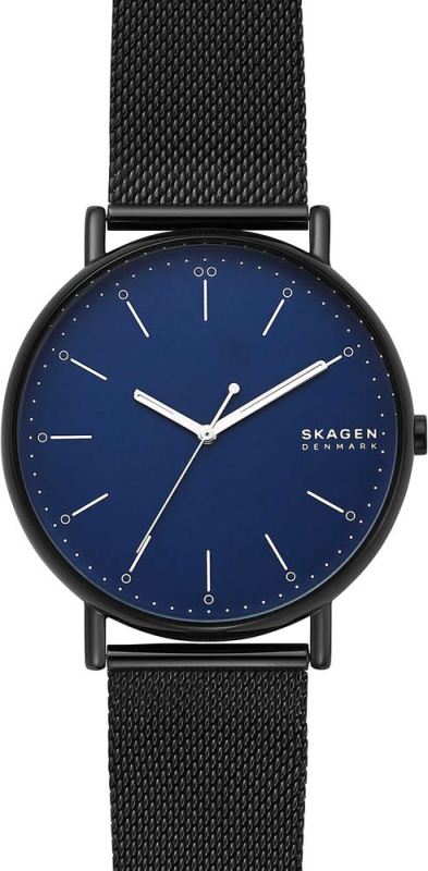 

Мужские наручные часы SKAGEN SKW6529