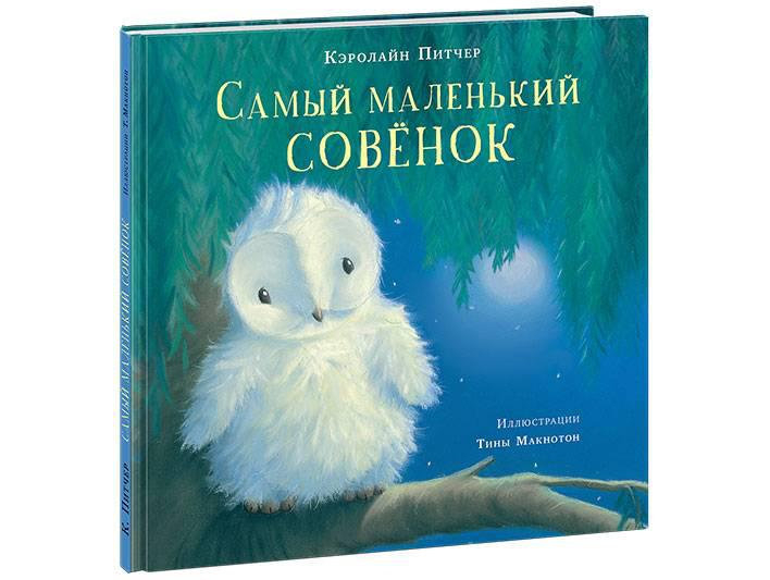 

Самый маленький совёнок
