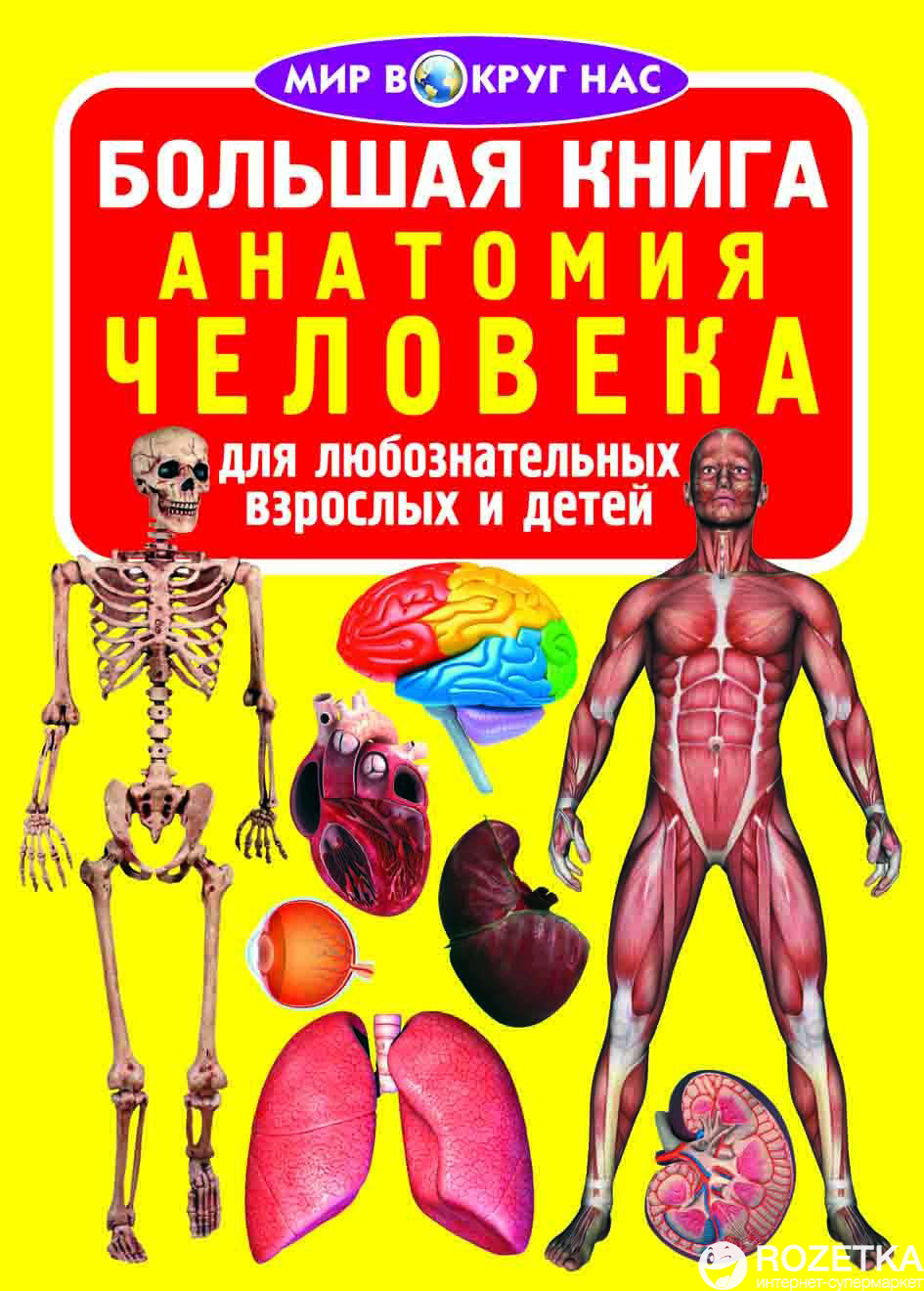 

Большая книга. Анатомия человека (9789669361493)