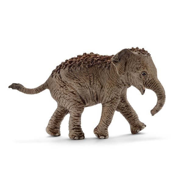 

Игрушка-фигурка Schleich Индийский слоненок (14755)