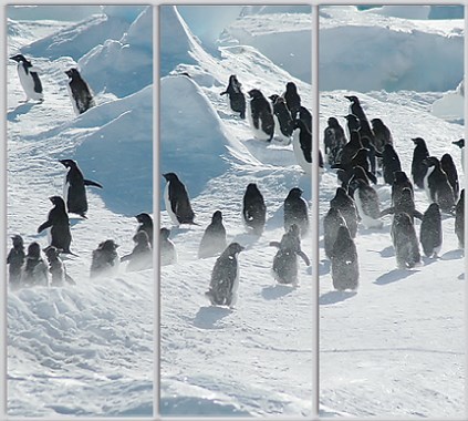 

Шкаф купе Luxe Studio Стандарт-1 Фотопечать Природа-191 2100x2400x600 трехдверный