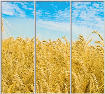 

Шкаф купе Luxe Studio Стандарт-1 Фотопечать Природа-95 2100x2400x600 трехдверный