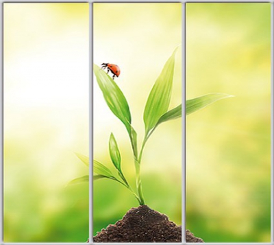 

Шкаф купе Luxe Studio Стандарт-1 Фотопечать Природа-32 2100x2300x600 трехдверный