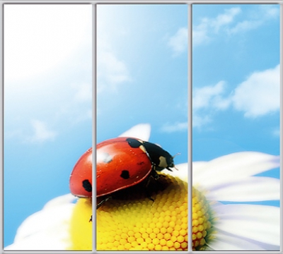 

Шкаф купе Luxe Studio Стандарт-1 Фотопечать Природа-31 2100x2400x600 трехдверный