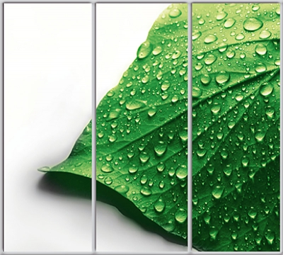 

Шкаф купе Luxe Studio Стандарт-1 Фотопечать Природа-22 2100x2400x600 трехдверный