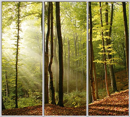 

Шкаф купе Luxe Studio Стандарт-1 Фотопечать Природа-176 2100x2000x600 трехдверный