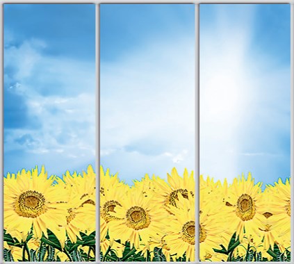 

Шкаф купе Luxe Studio Стандарт-1 Фотопечать Природа-192 2100x2400x600 трехдверный