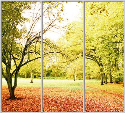 

Шкаф купе Luxe Studio Стандарт-1 Фотопечать Природа-167 2100x2300x600 трехдверный