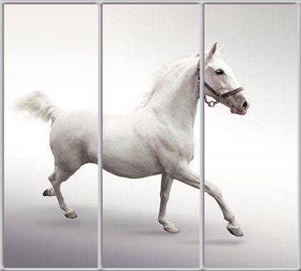 

Шкаф купе Luxe Studio Стандарт-1 Фотопечать Животные-23 2100x2100x600 трехдверный