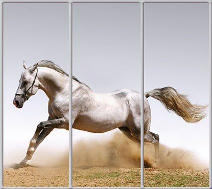 

Шкаф купе Luxe Studio Стандарт-1 Фотопечать Животные-24 2100x2200x600 трехдверный