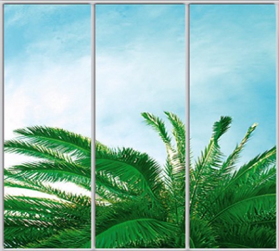 

Шкаф купе Luxe Studio Стандарт-1 Фотопечать Природа-115 2100x2200x600 трехдверный