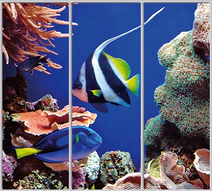 

Шкаф купе Luxe Studio Стандарт-1 Фотопечать Море-15 2100x2100x600 трехдверный