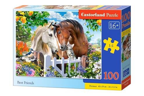 

ПАЗЛЫ CASTORLAND Лучшие друзья, 100 ЭЛ. РАЗМЕР 40X29 СМ (111121)