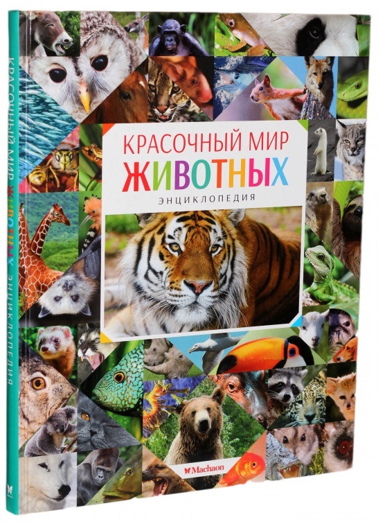 

Красочный мир животных (9785389124707)