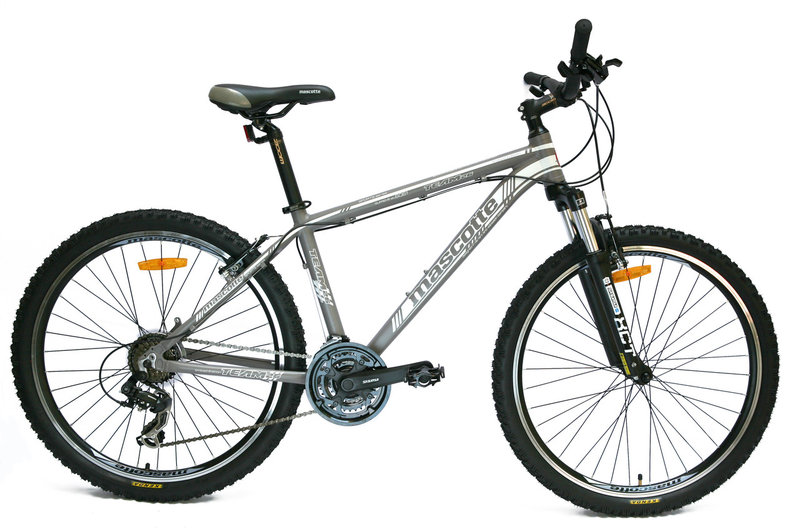 

Велосипед Mascotte Team 16" 26" Gray/White (B4A-2145)