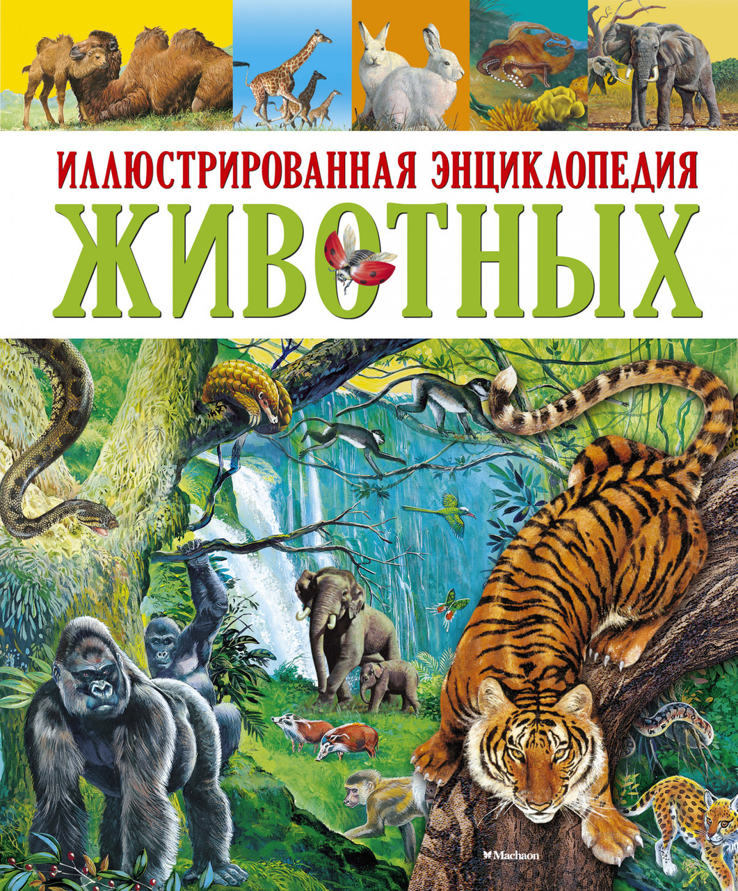 

Книга Иллюстрированная энциклопедия животных. Автор - Поль Клош, Джорджо Кьоцци, Клементина Коппини (Махаон)