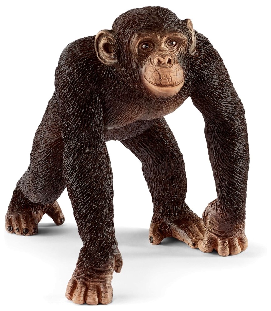 

Фигурка Schleich Шимпанзе (14817)