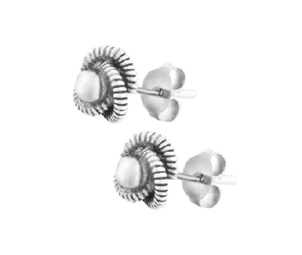 

Срібні сережки С5/014