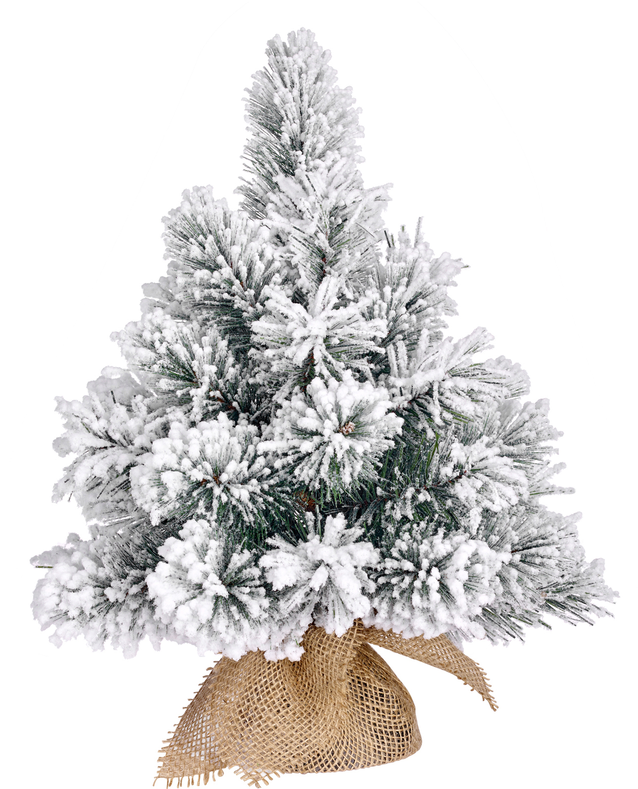 

Искусственная сосна Black Box Dinsmore Frosted 0.6 м (8718861289077)