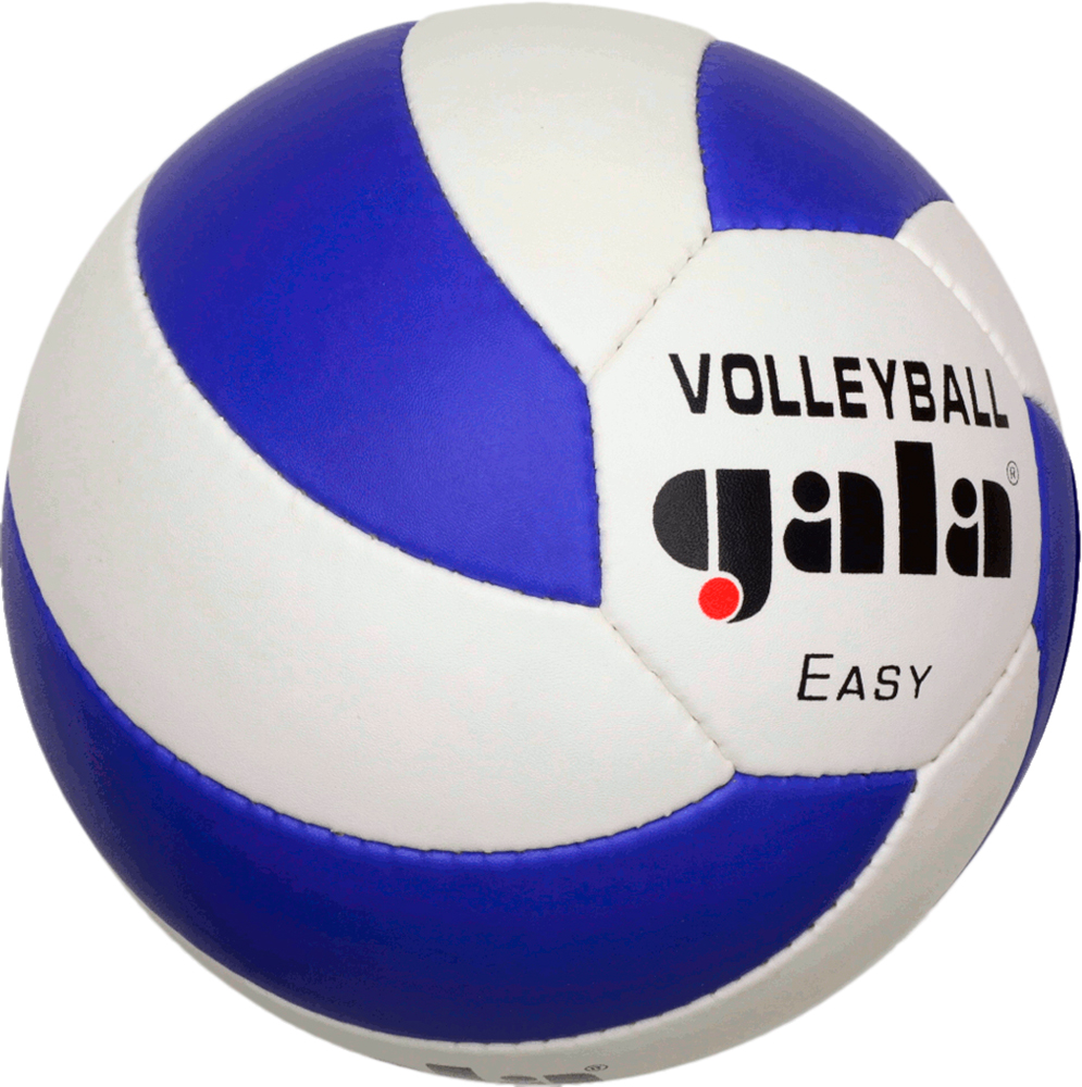 

Мяч волейбольный Gala Easy №5 White-Blue (BV5083SC)