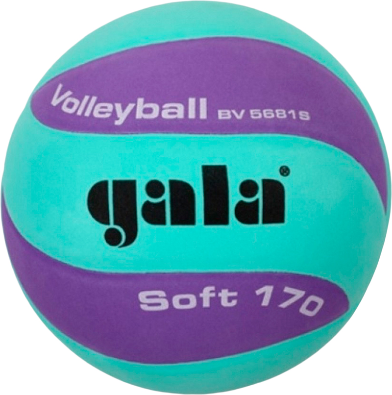 

Мяч волейбольный Gala Soft 170 №5 Green-Purple (BV5681SCF)