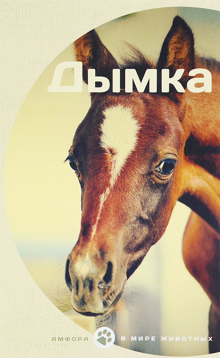 

Дымка (1319669)