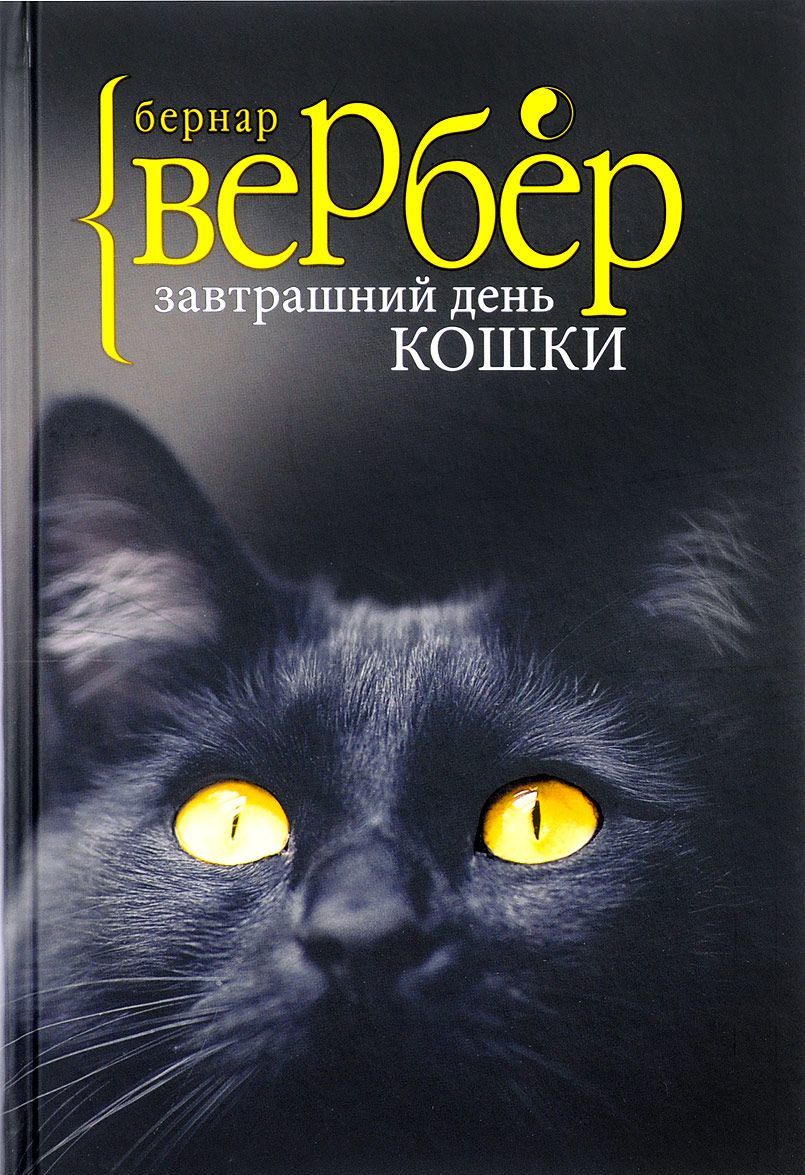 

Завтрашний день кошки