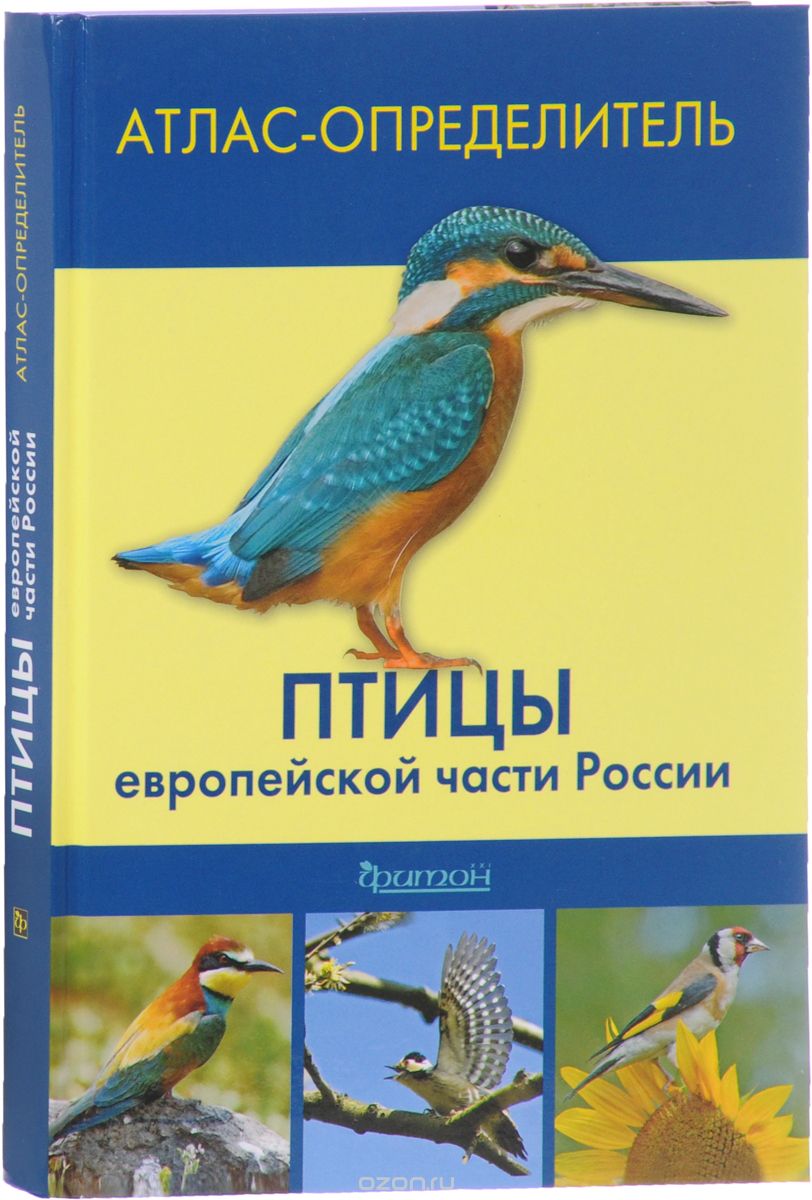 

Птицы европейской части России. Атлас-определитель (1553902)