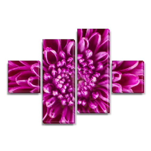 

Модульная картина Декоинт Цветы 50x80см. Холст синтетический