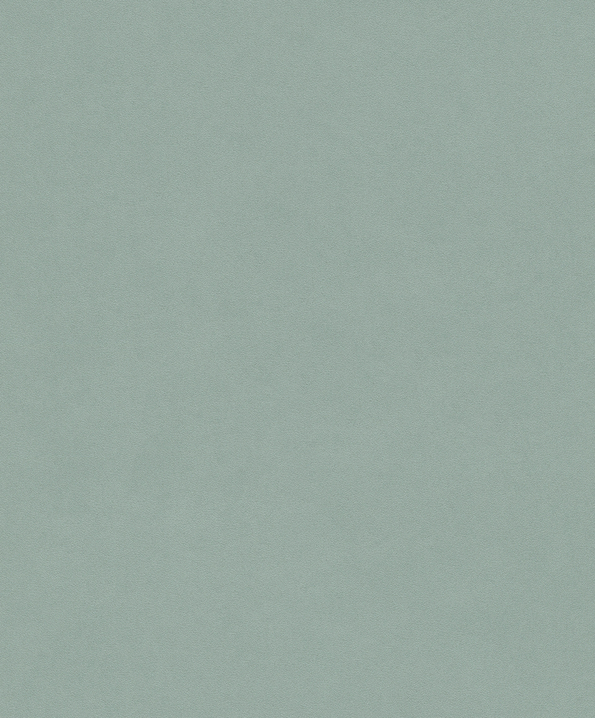 

Rasch Passepartout 606348