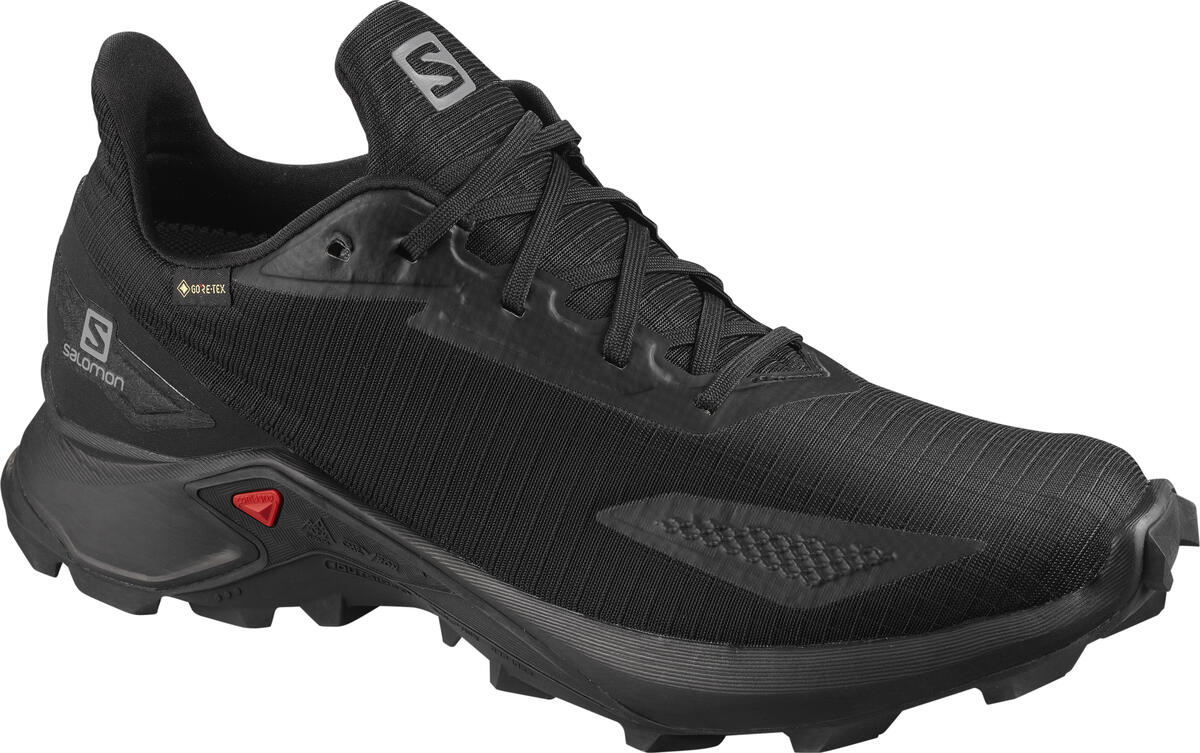 

Кроссовки SALOMON ALPHACROSS BLAST GTX 46 (11 UK) 29,5см черный s411053-11