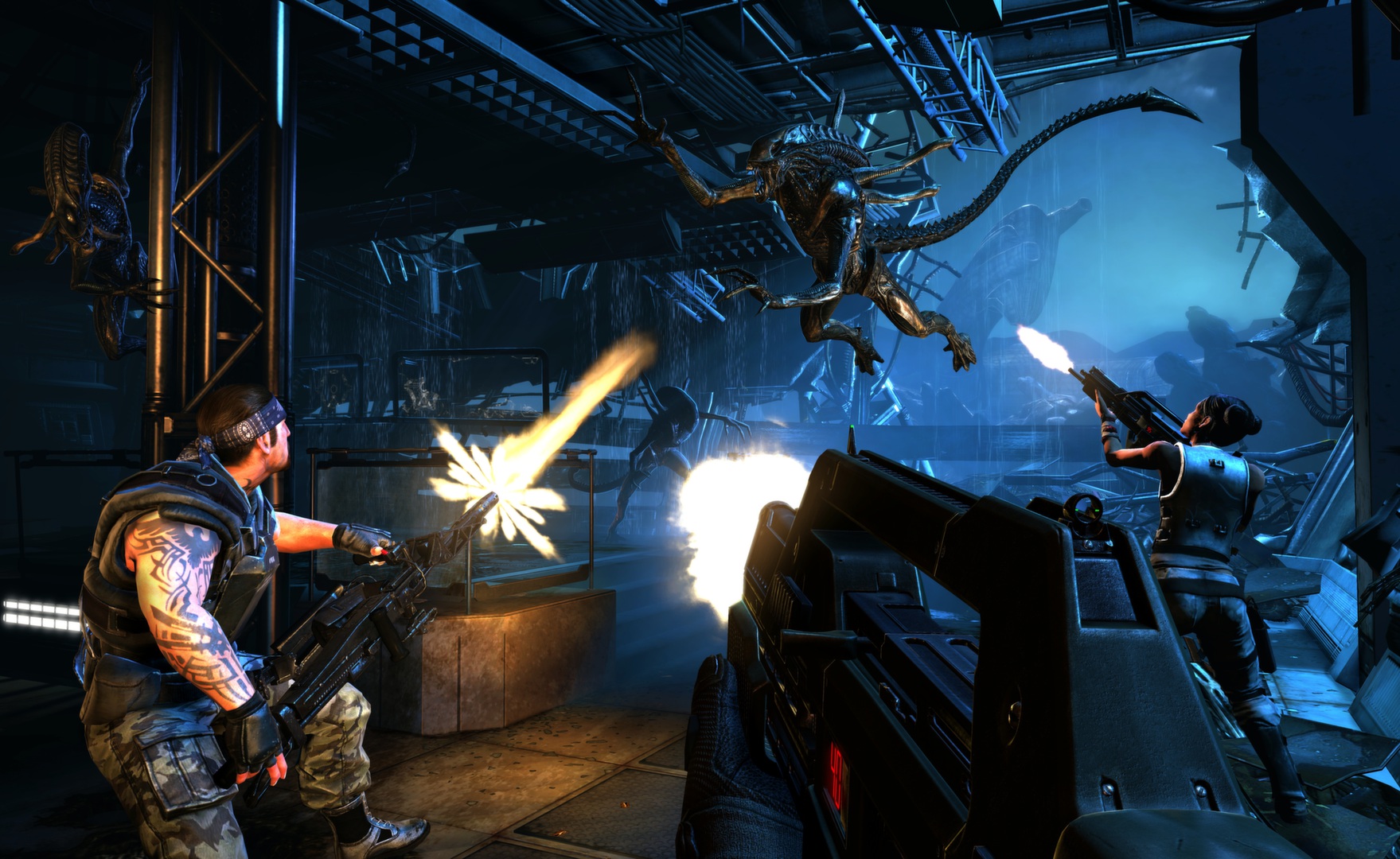 ROZETKA » Игра Aliens: Colonial Marines Collection для ПК (Ключ активации  Steam) от продавца: GGSTORE купить в Украине: цена, отзывы