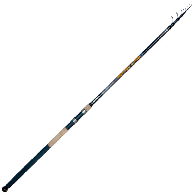 

Удилище Fishing ROI Telematch Black Mamba 4.5 м 10-30 г (225-04-0045)