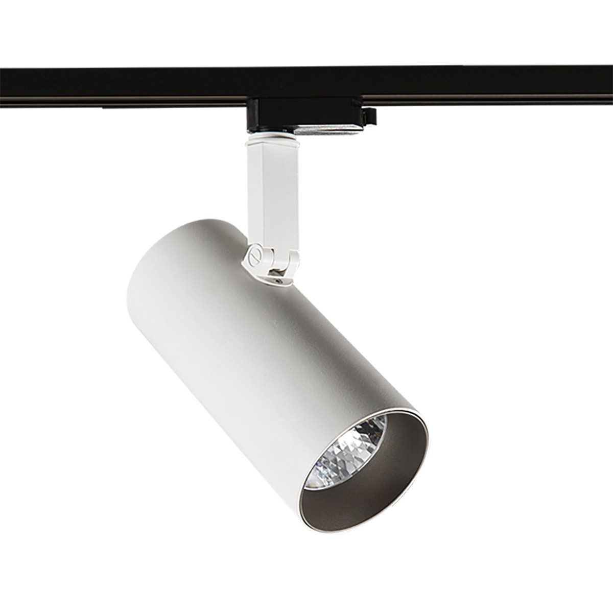 

Трековый светильник Italux Tl7556/28W Wh+Gr Russo M 4000K