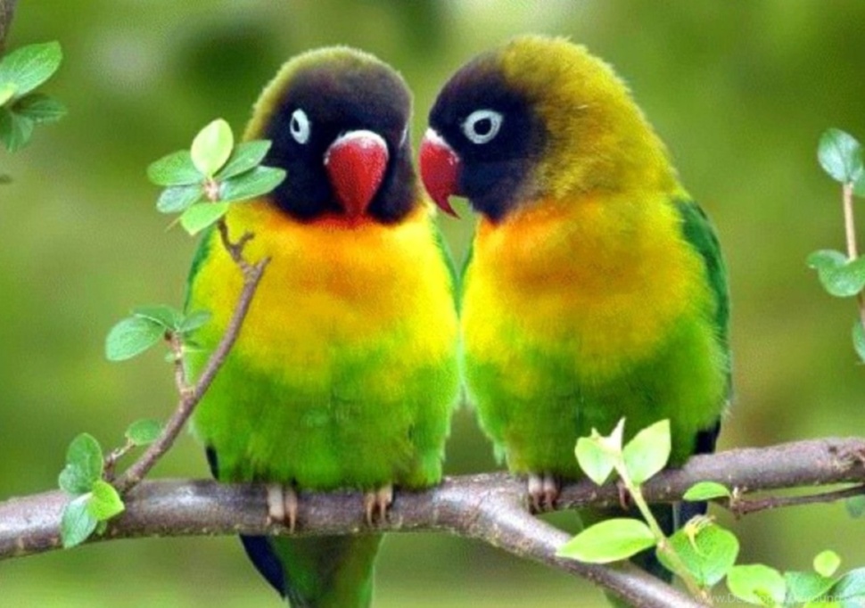 

Набор творчества со стразами на подрамнике Это наш секрет (GA72415)