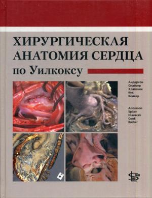 

Хирургическая анатомия сердца по Уилкоксу (1230553)