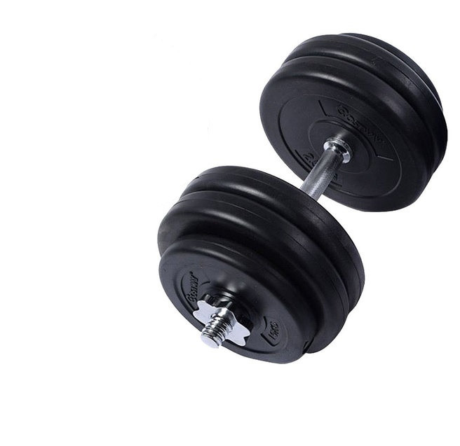 

Гантель Plenergy Strong 1х28 кг