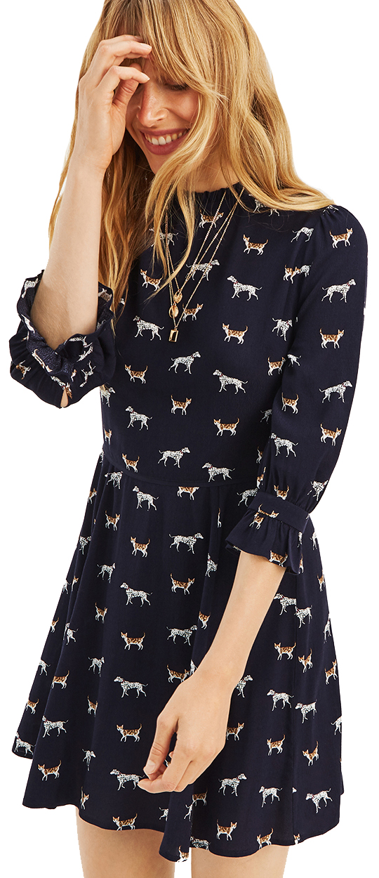 oasis cat skater shirt dress