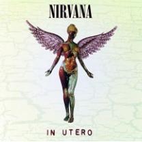

Виниловая пластинка Nirvana - In Utero 1993 (0720642453612, 180 Gm. Re-issue) Universal/EU, Mint (art.220358)