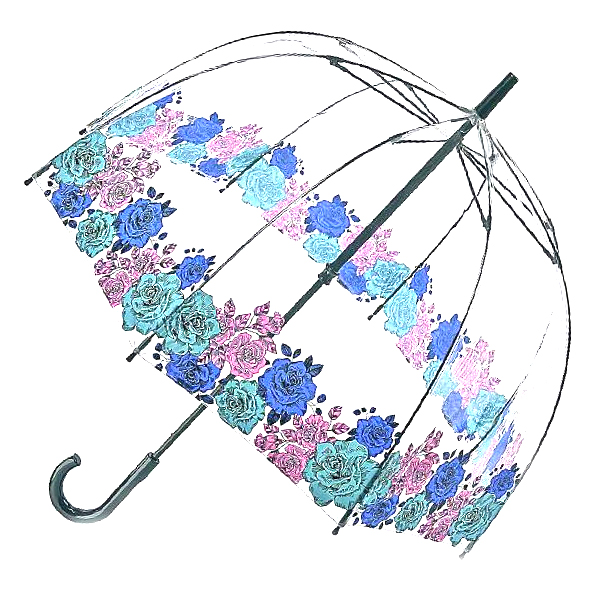 

Зонт Fulton Birdcage-2 L042-036556 Moody Rose