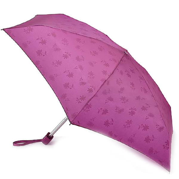 

Зонт Fulton Tiny-2 L501-036730 Gloss Floral